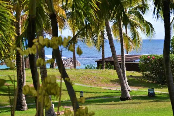 Karibeko : Exceptionnel & Rare : Plage , Piscine, Wifi Prive Сен-Франсуа Экстерьер фото