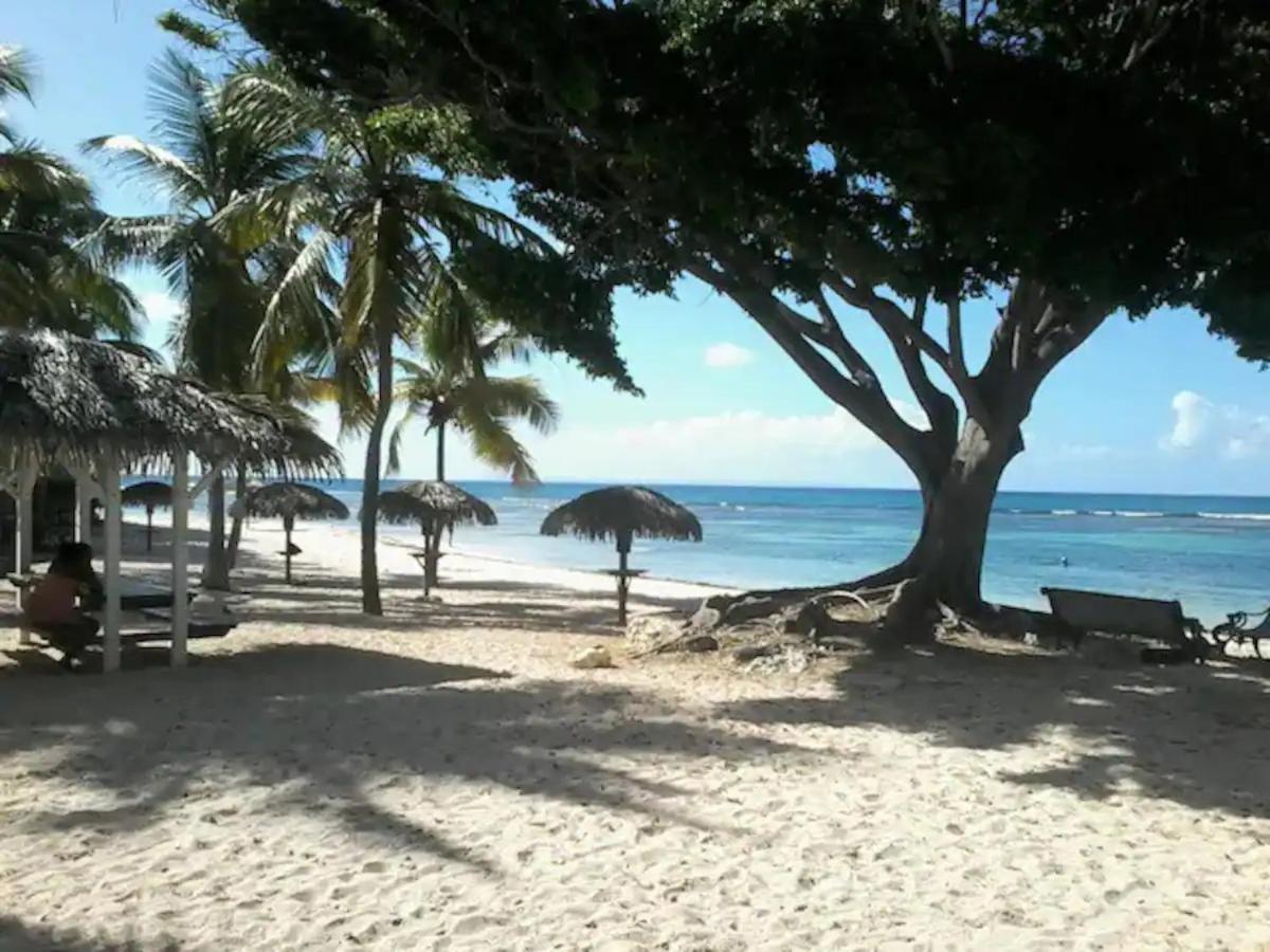 Karibeko : Exceptionnel & Rare : Plage , Piscine, Wifi Prive Сен-Франсуа Экстерьер фото